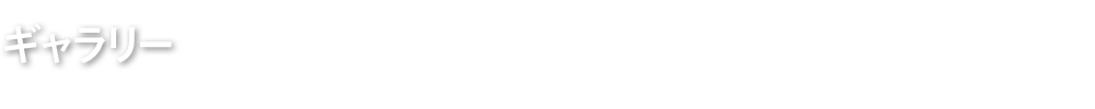 ギャラリー