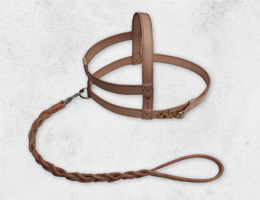 犬のリード・胴輪